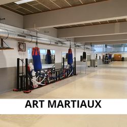 ART MARTIAUX 